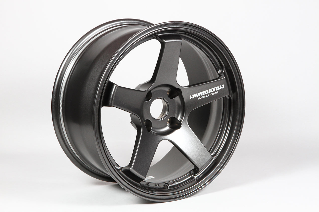 F23 [F18-13MG] 18inch9.5J inset+45 5-100 ｶﾞﾝﾒﾀ